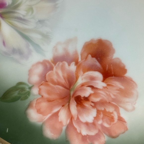 Thomas Sevres Bavaria plate - Picture 6 of 7